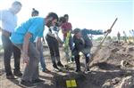 MADıMAK OTELI - Sivas'ta Ölen 33 Kişi İçin Diyarbakır'da 33 Fidan Dikildi