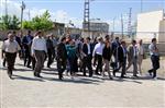 ÖZALP BELEDİYESİ - Büyükşehir Belediyesi Eş Başkanlarından İlçe Ziyaretleri
