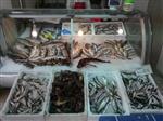 KIRLANGIÇ - Balıkçı Tezgahlarında İlginç Balıklar Sergileniyor