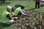Siirt'te 50 Bin Çiçek Dikilecek