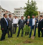 BİRLİKTE BÜYÜTELİM - Yeni Doğan Bebekler İçin Fidan Dikildi