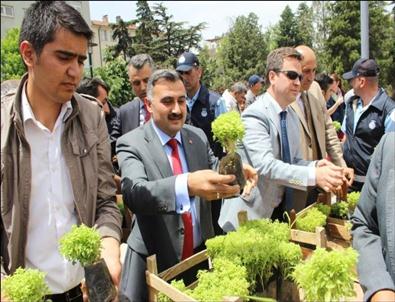 Develi’de 'Çevre Günü” Kutlamaları