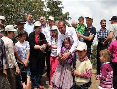 Alaşehir’de Doğaya 500 Kınalı Keklik Salındı