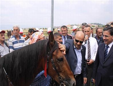 Bakan Fikri İşık’a Yarış Atı Hediye Edildi