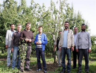 Bursa Ovasına Dolunun Zararı 40 Milyon Lira