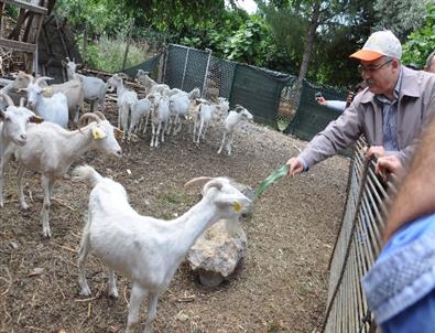 Çandır Resmen Organik Köy Oldu