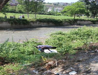 Dereye İnerken Düşen Yaşlı Kadın Öldü