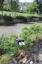 Dereye İnerken Düşen Yaşlı Kadın Öldü