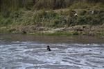 İtfaiye Dalgıç Ekipleri Ölümden Döndü