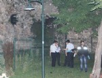 DEHLIZ - İstanbul'da çocuk cesedi bulundu