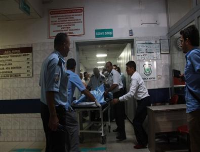 Akıma Kapılan Hayvanları Kurtarmak İsterken Can Verdi