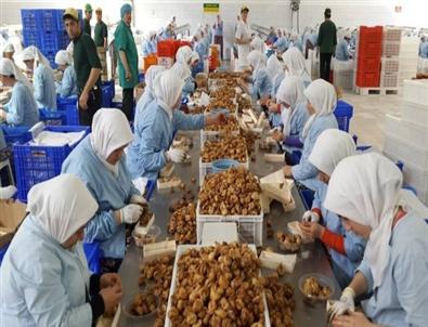 Köşk’te Mesaiye Ramazan Ayarı