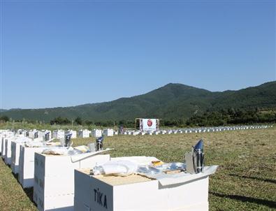 Doğu Makedonya Valandova Bölgesindearıcılara Destek