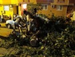 Düzce'de rüzgar kabusu: 6 ölü