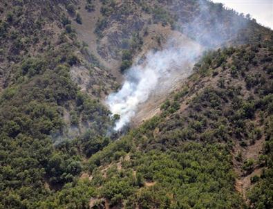 Munzur Vadisi Milli Parkı’nda Yeniden Yangın Çıktı