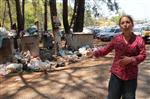 SAMANLıK - Fethiye'deki Koylarda Çevre Kirliliği İddiası