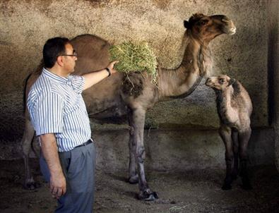 Gaziantep Hayvanat Bahçesinde Nüfus Patlaması
