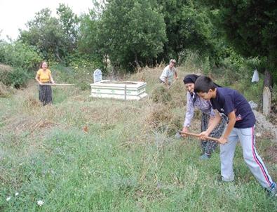 Tekirdağ'da Demircili Mahallesi Sakinleri İmece Usulü Köy Mezarlığını Temizledi