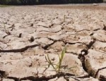 FIRAT NEHRİ - Devletten dolaylı kuraklık açıklaması