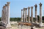 HELENISTIK - Soli Pompeipolis Kazıları 15 Temmuz'da Başlayacak