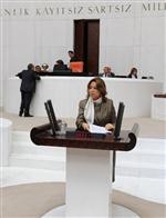 NÜFUS ARTIŞ HIZI - Çalık Açıklaması