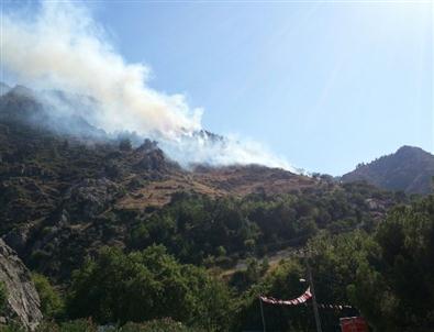 Manisa'da Orman Yangını