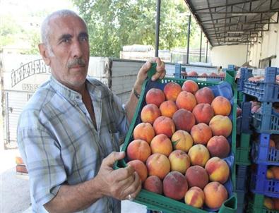 Şeftali İle Armut Altın Yılını Yaşıyor