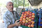 Şeftali İle Armut Altın Yılını Yaşıyor