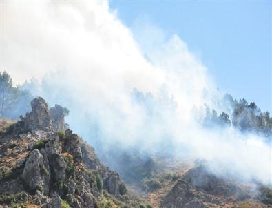Spil Dağı’nda Orman Yangını