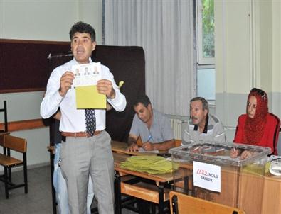 Yalova Erdoğan Dedi