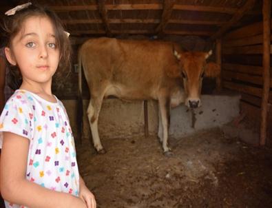 İlk Kez Köyle Tanışan Çocuklar Kendilerini Buldu