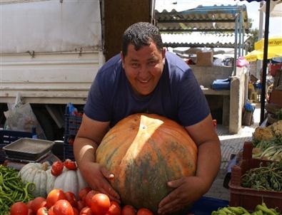 Kabağa Da, Satıcısına Da Maşallah