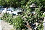 HULUSİ EFENDİ - Otomobil Ağaca Çarptı Açıklaması
