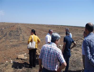 Viranşehir Belediyesi Ezidiler İçin Çadır Kuruyor