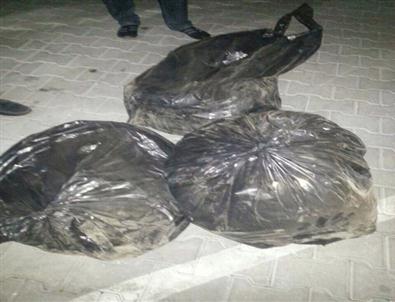 Konya’da 40 Kilo Esrar Yakalandı