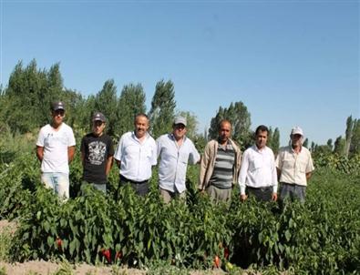 Seydişehir'de Üreticiler Pazar Bulamamaktan Şikayetçi
