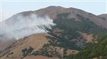 SAĞLAMTAŞ - Tunceli’de Orman Yangını
