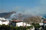 AKYARLAR - Bodrum'da Yangının Bilançosu Ağır Oldu