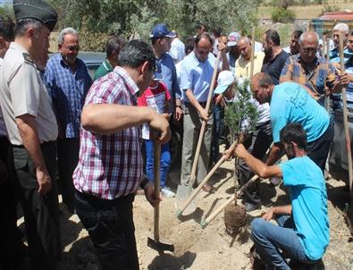 Beyşehir’de Mezarlıklar Ağaçlandırılıyor