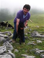 Trabzon Yaylalarında Çobanlık Cazibesini Yitirdi Haberi
