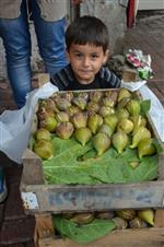 BOLAMAN - İncirin Kilosu 10 Lira