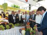 NECATİ ÖZENSOY - Anadolu’nun Lezzetleri Mudanya’da Tanıtılıyor