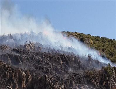 Bucak'taki Orman Yangını Kontrol Altına Alındı
