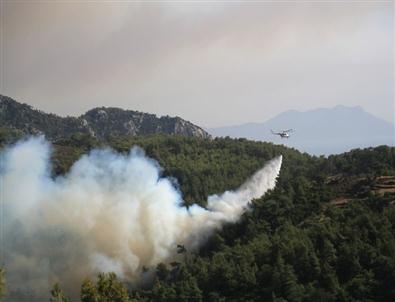 Milas'taki Yangın, Santrali Tehdit Etti