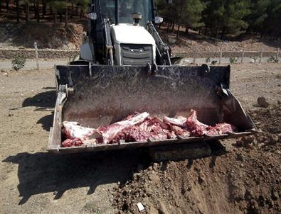 Gaziantep'te 130 Kilo Sağlıksız Et İmha Edildi