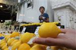 ZAM ŞAMPİYONU - Zam Şampiyonu Limon Artık Taneyle Satılıyor
