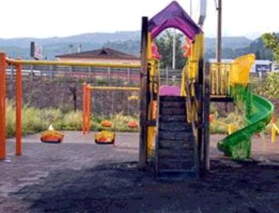 Jest yapayım derken parkı yaktı