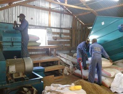 Kenya’da Kırsal Kalkınma Programının İkinci Aşaması Tamamlandı