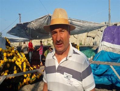 Balıkçılar Açıklaması