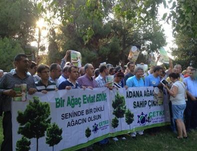 'Halk Meclisi'Nden Ağaçlar İçin Referandum Çağrısı